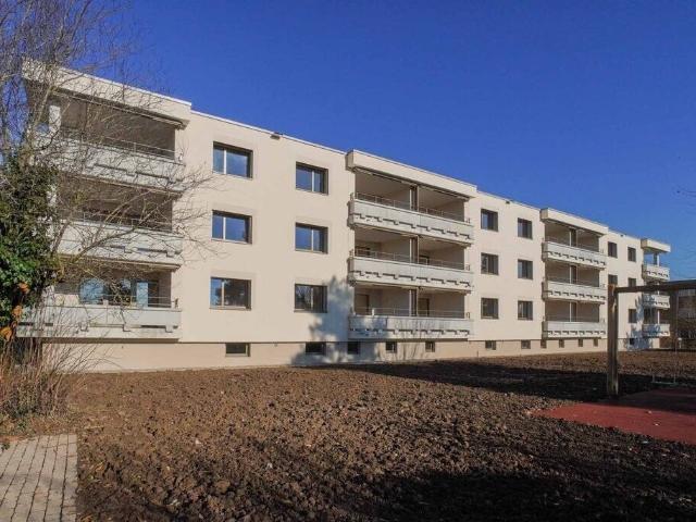 Immobilie kaufen in Widen, Aargau