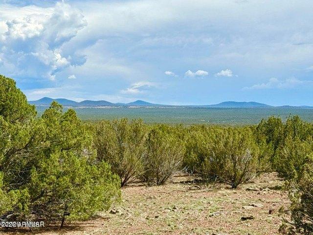 Land for sale in Navajo, Arizona