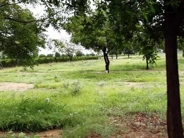 Land for sale in North Waziristan, Federally Administered Tribal Areas fata