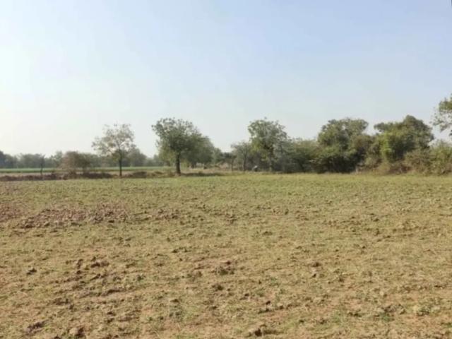 Land for sale in Ahmadabad, Gujarat