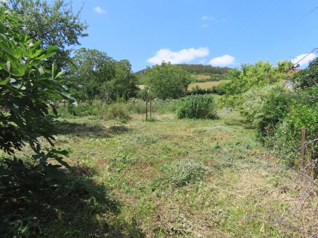 Maison vente à Vichy, Gannat