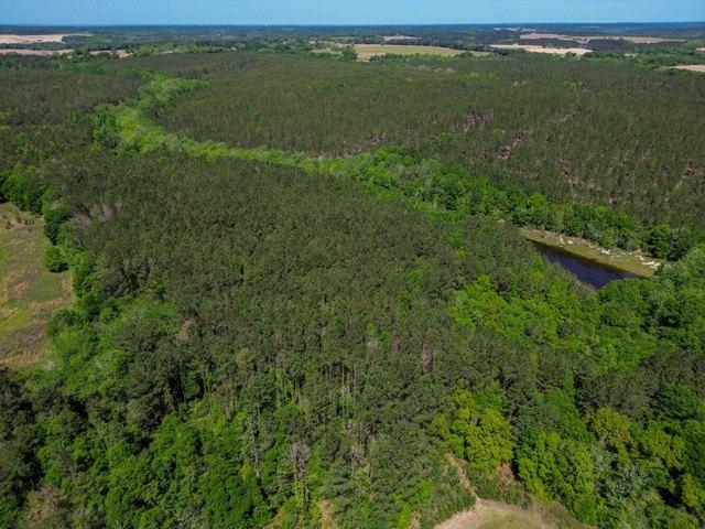 Land for sale in Red Level, Alabama