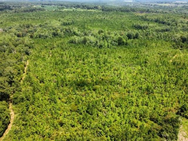 Land for sale in Red Level, Covington County