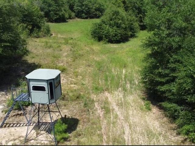 Land for sale in Red Level, Alabama