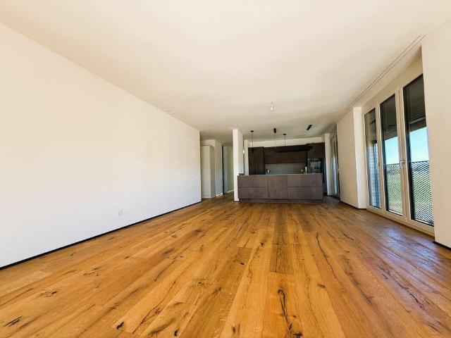 Apartment mieten in Ziegelei, Berg (TG)