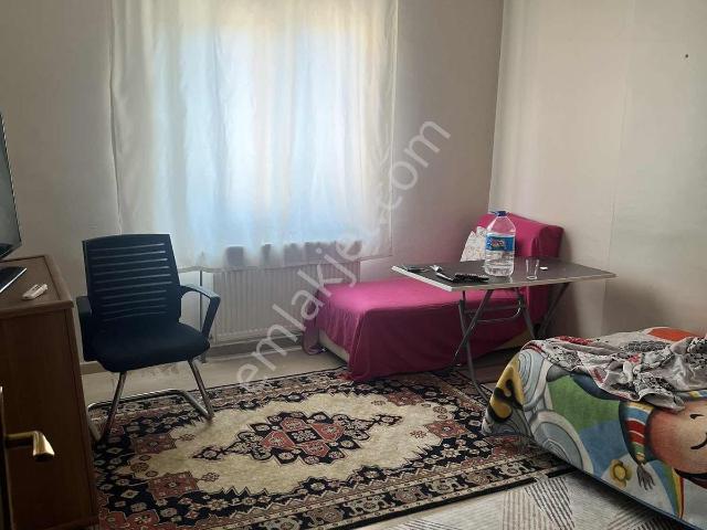 Batman Merkez, Batman içerisinde kiralık mülk