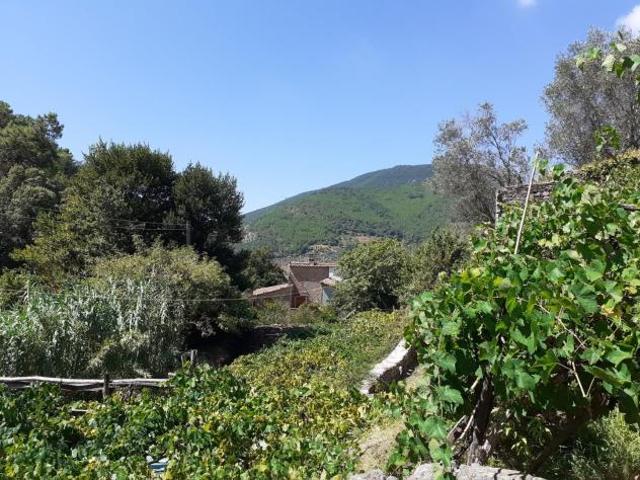 Box in vendita a Calci, Toscana