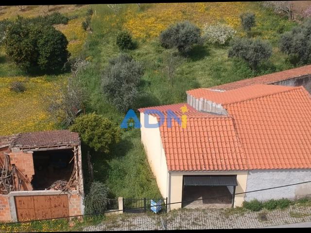 Quinta venda em Castelo Branco