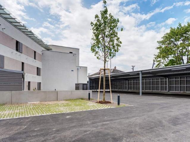 Gewerbe kaufen in Gänserndorf, Niederösterreich