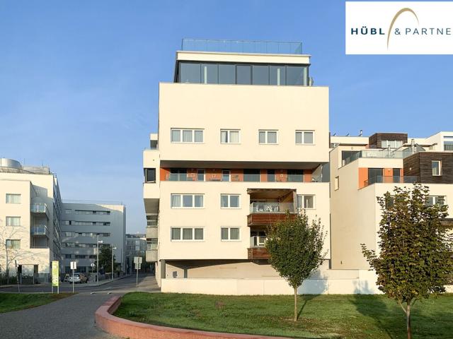 Immobilie mieten in Donaustadt, Wien