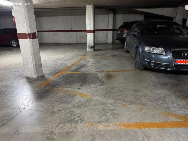 Local Comercial en alquiler en Molina De Segura, Molina de Segura