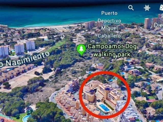 Garaje en venta en Dehesa de Campoamor, el Baix Segura / La Vega Baja