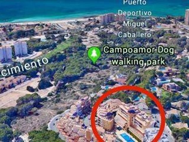 Garaje en venta en Dehesa de Campoamor, el Baix Segura / La Vega Baja