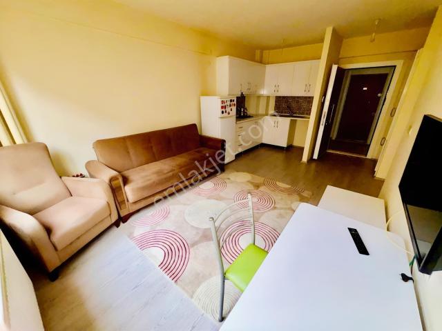 Kastamonu Merkez, Kastamonu içerisinde kiralık mülk