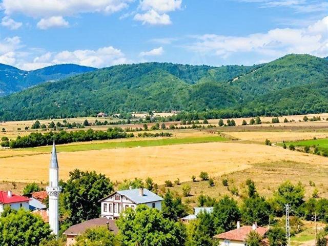 Beyazlar, Daday içerisinde satılık Arsa