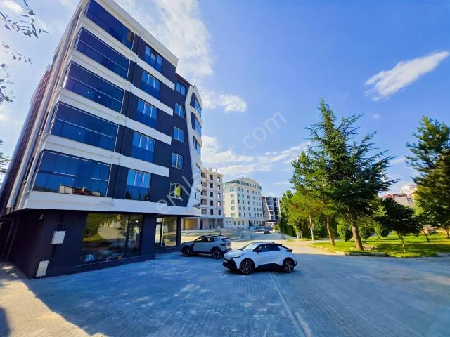 Kastamonu Merkez, Kastamonu içerisinde kiralık mülk