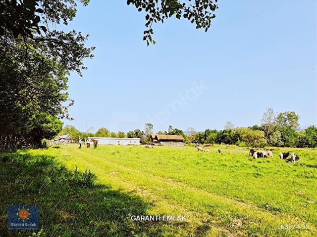 Kastamonu Merkez, Kastamonu içerisinde satılık Arsa
