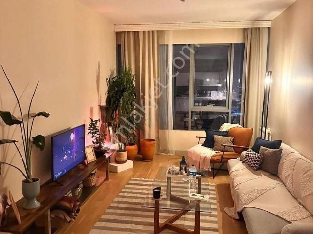 İstanbul içerisinde kiralık mülk