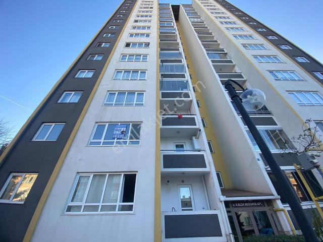 Atakum, Samsun içerisinde kiralık mülk