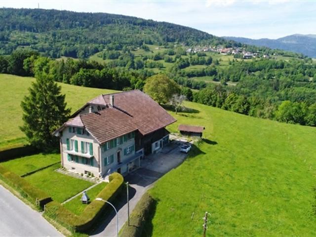 Einfamilienhaus kaufen in Romainmôtier, Waadt