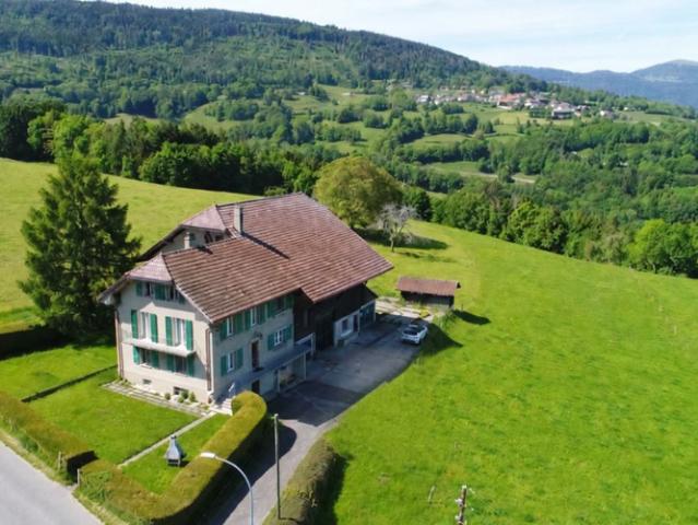 Haus kaufen in Romainmôtier, Waadt
