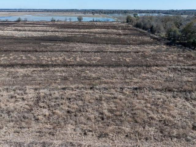 Land for sale in Oberlin, Louisiana
