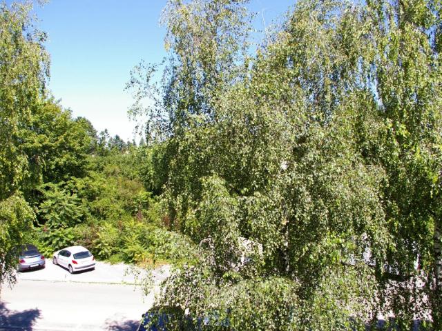 Apartment mieten in Perchtoldsdorf, Niederösterreich