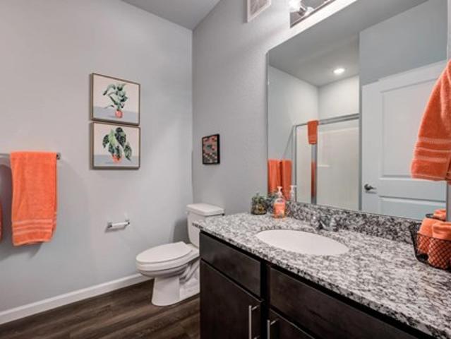 Apartment for rent in Lexington