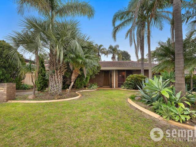 Apartment for rent in Yangebup, Western Australia