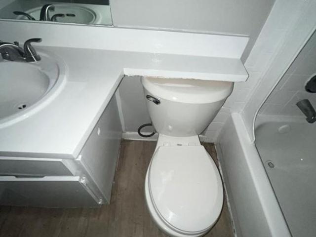 Apartment for rent in Tampa, Florida