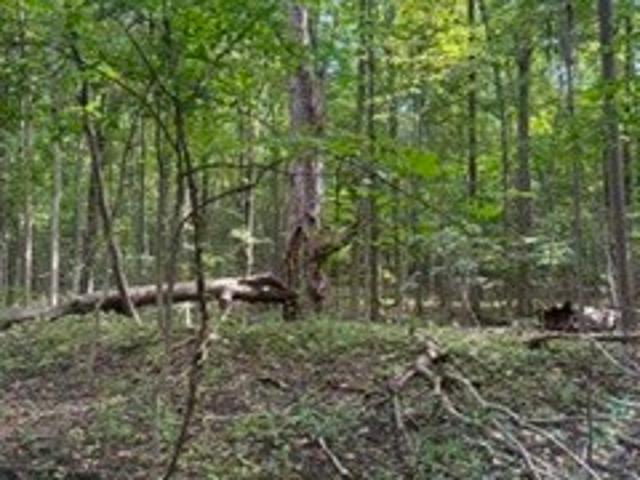 Land for sale in Town of Avon, Livingston County