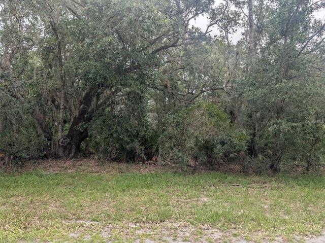 Land for sale in Indian Lake Estates, Florida