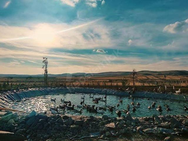 Polatli, Ankara içerisinde satılık Arsa