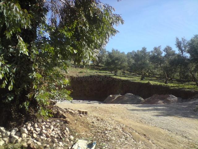 Terrain vente à Mellal