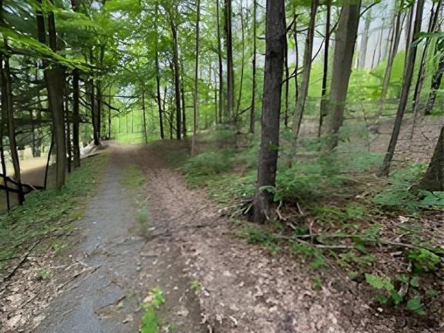 Land for sale in Cuddebackville, New York