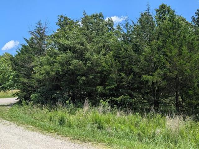 Land for sale in Fordland, Missouri