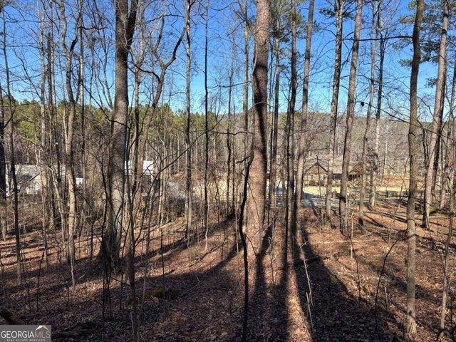 Land for sale in Bartow, Georgia