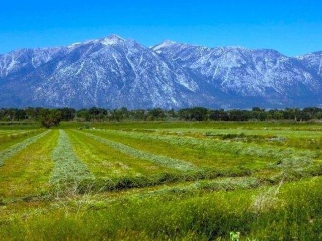 Land for sale in Gardnerville