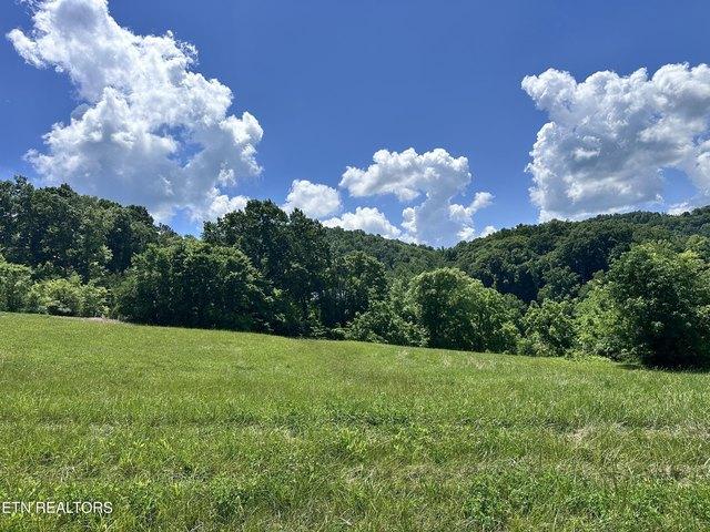 Land for sale in Tennessee