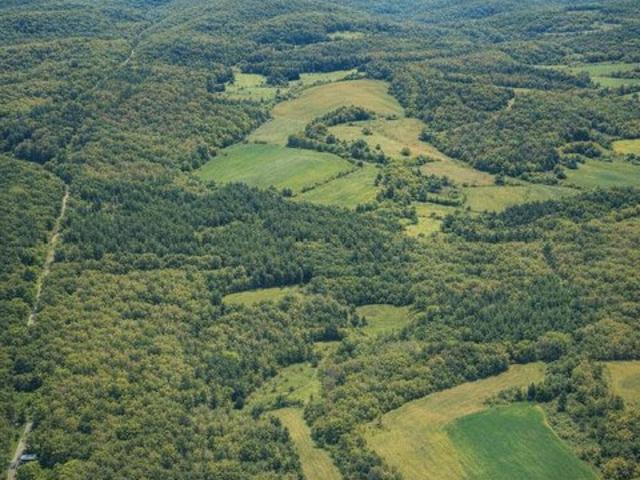 Land for sale in Harned, Kentucky