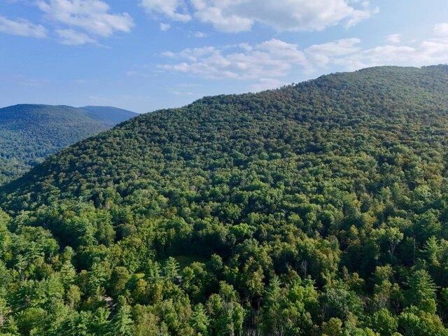 Land for sale in Phoenicia