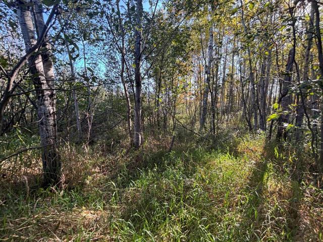 Land for sale in Carlton, Minnesota