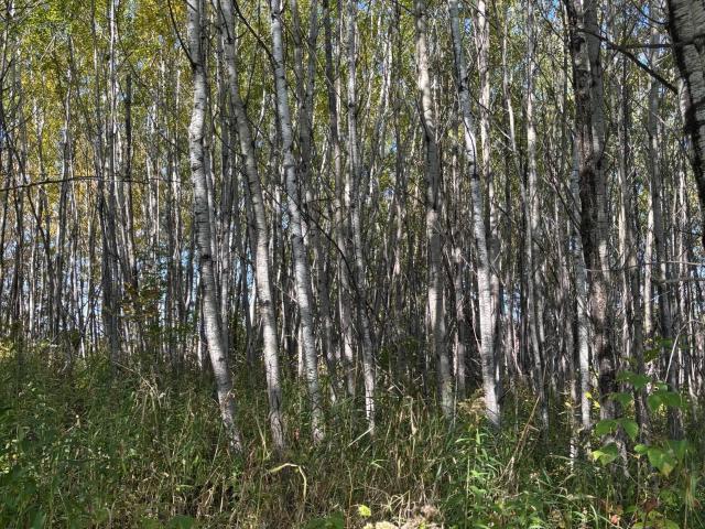 Land for sale in Cloquet, Carlton County