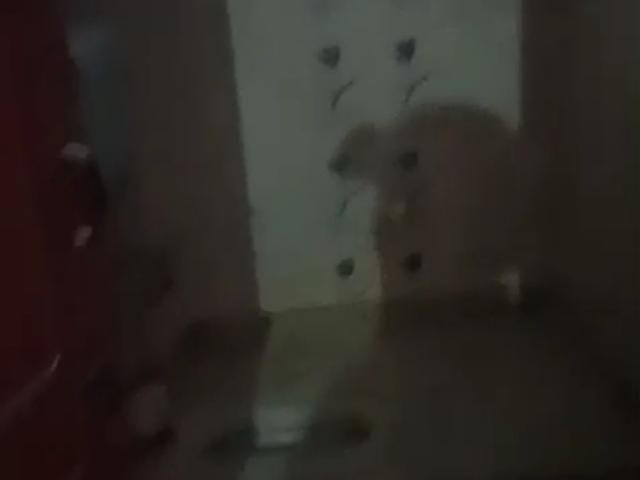 Property for rent in Deri