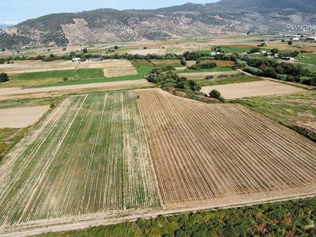 Milas, Muğla içerisinde satılık Arsa