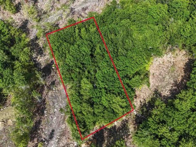 Land for sale in New Hampshire