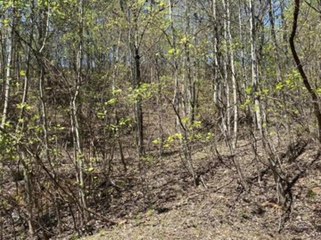 Land for sale in Tennessee