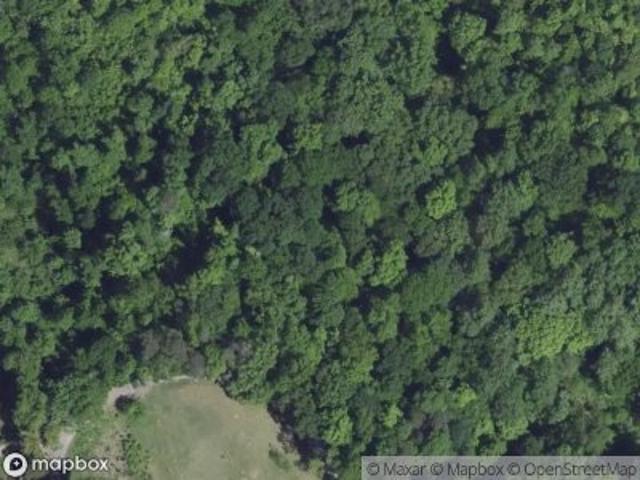 Land for sale in Adamsville, Alabama