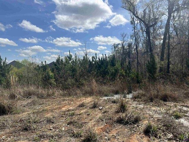 House for sale in Bonaire, Georgia