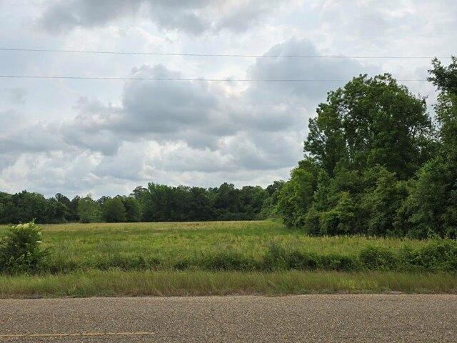 Land for sale in Ashford, Alabama